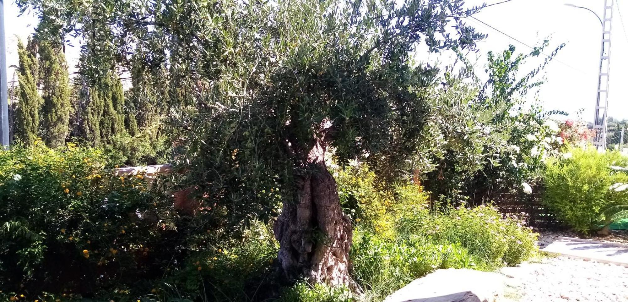 Villa Casa Kenaz El Campello Εξωτερικό φωτογραφία
